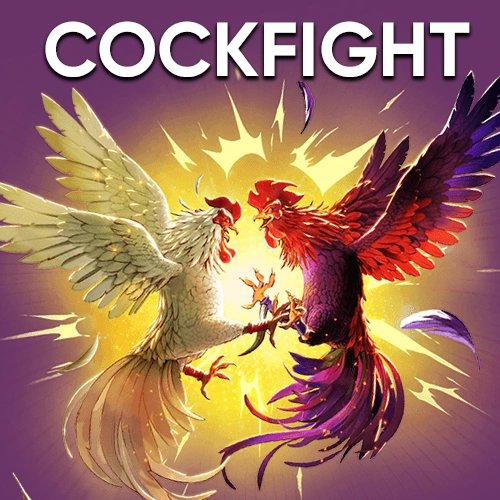 Place the right bets on the outcome of cockfighting at Jeetwin and win big.